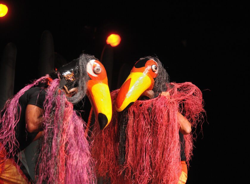 Bichos do Brasil 6 Cred Beto Andreeta