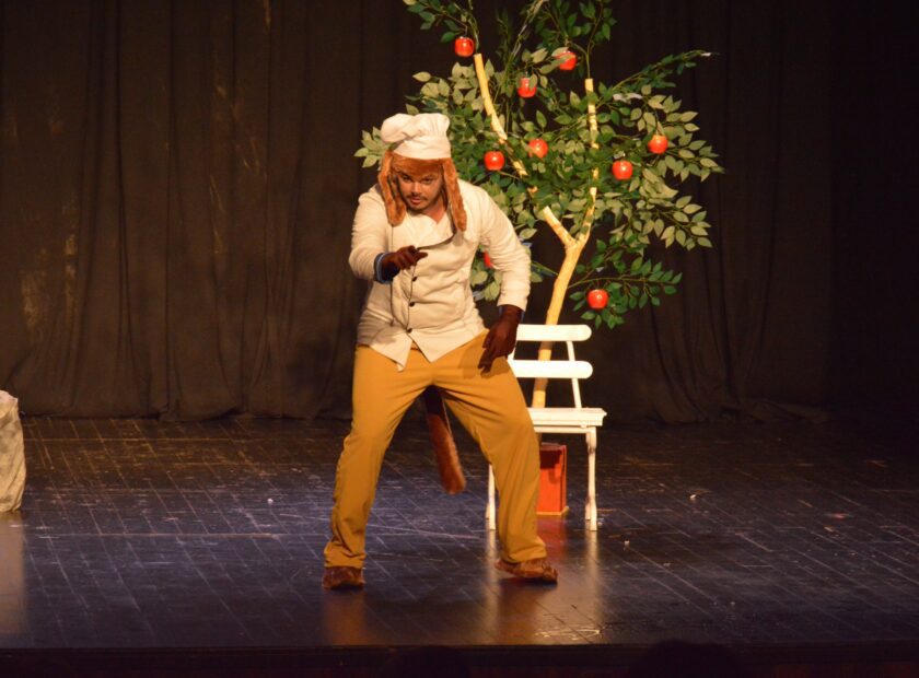 O Casamento da Dona Baratinha._foto Diego Rodrigues-min