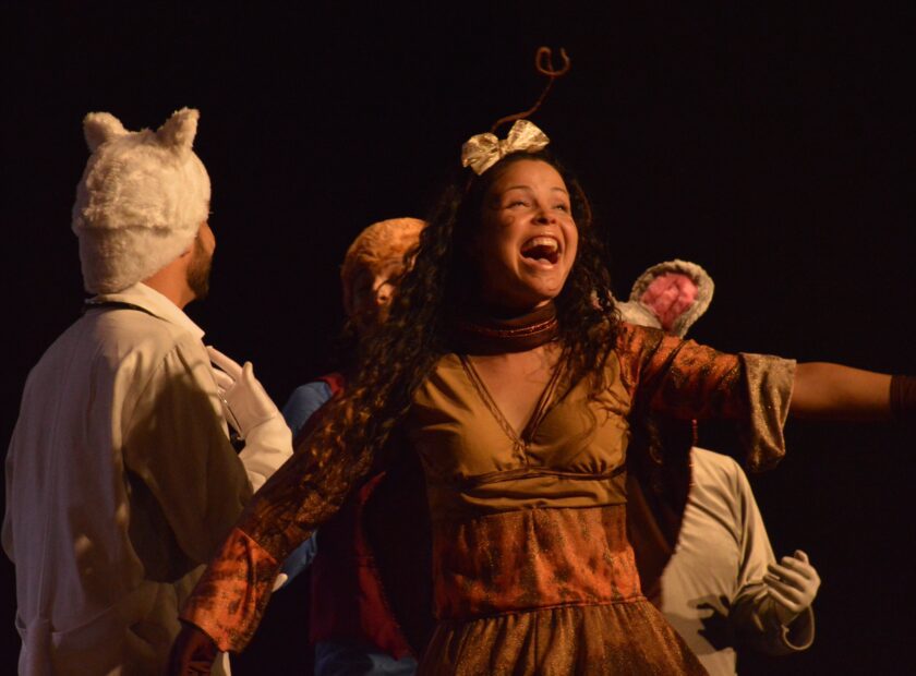 O Casamento da Dona Baratinha_foto Diego Rodrigues (1)-min