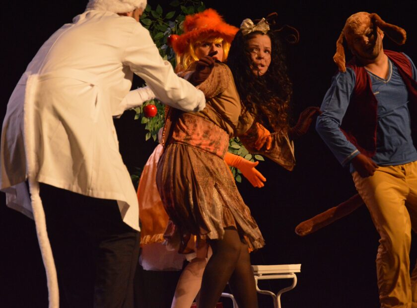 O Casamento da Dona Baratinha_foto Diego Rodrigues (2)-min