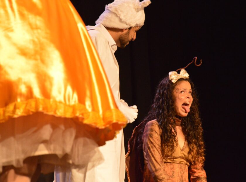 O Casamento da Dona Baratinha_foto Diego Rodrigues.-min