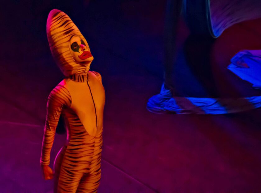 TCHUBA -LIGIANE BRAGA