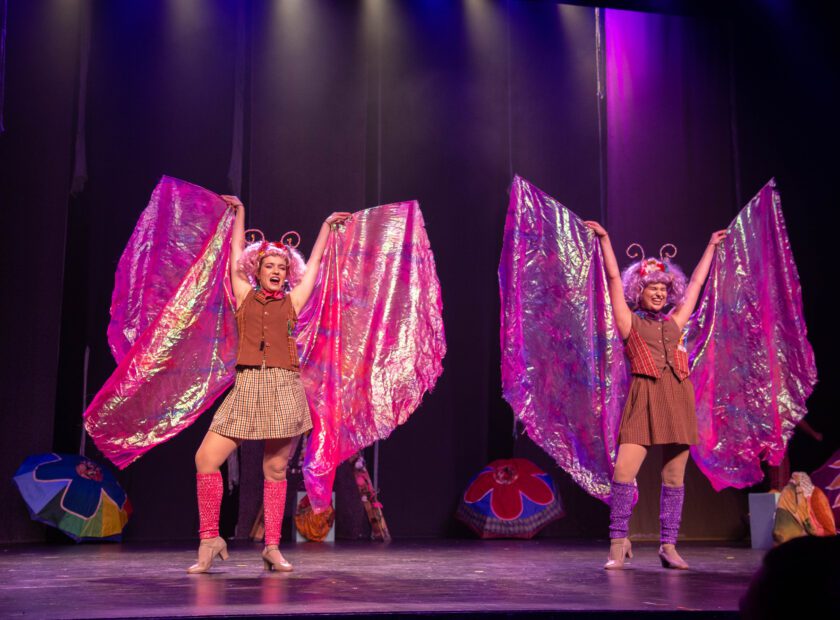 A_BORBOLETA_SEM_ASA-49