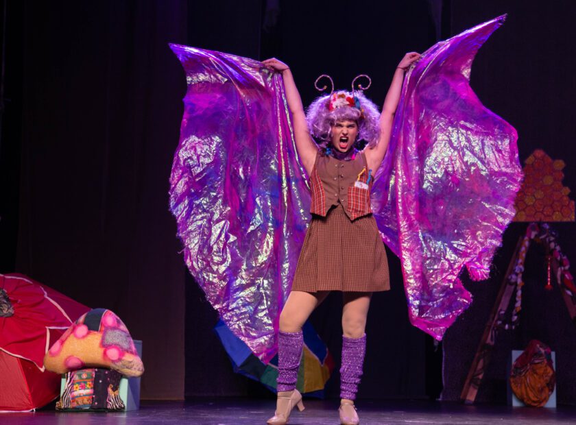 A_BORBOLETA_SEM_ASA-50