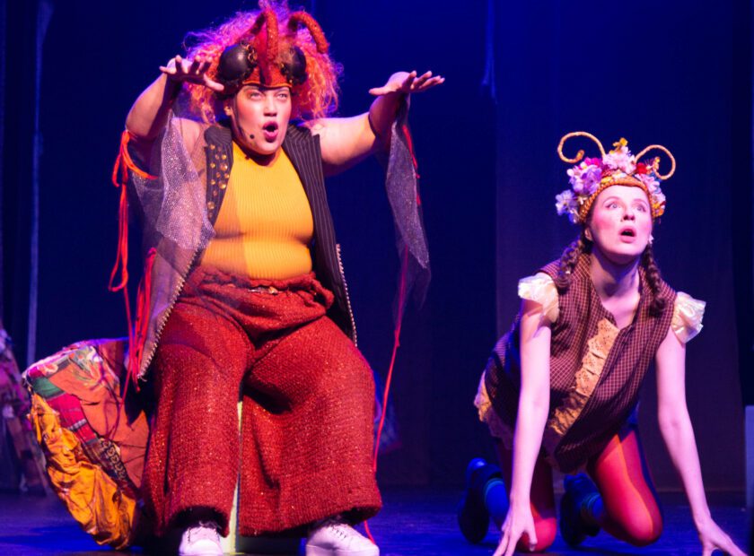 A_BORBOLETA_SEM_ASA-60